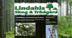 Desktop Screenshot of lindahoang09.com