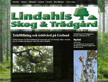 Tablet Screenshot of lindahoang09.com